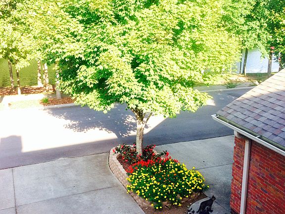 View from guest bedroom 1