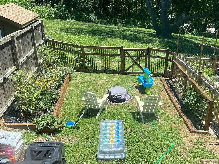 summertime backyard