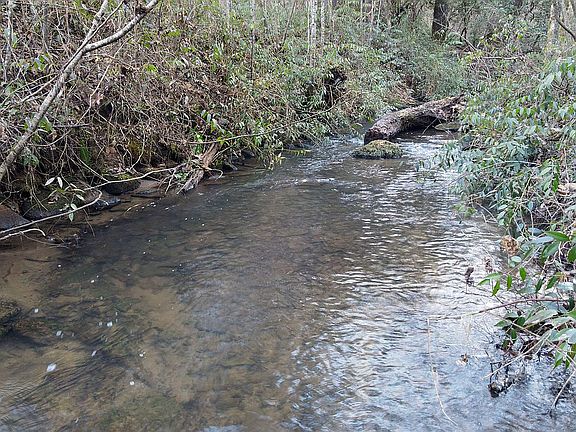4th image of 350 Foggy Creek Ln