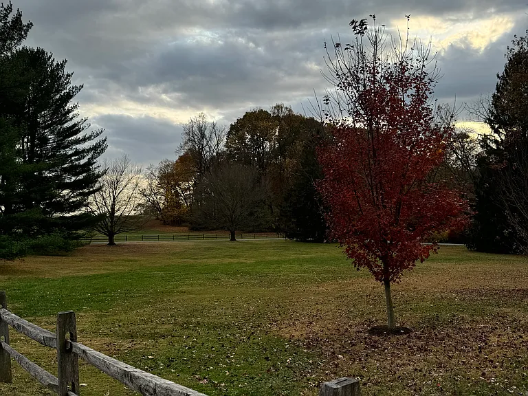 grounds