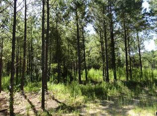 County Road 3146, Mount Enterprise, TX 75681