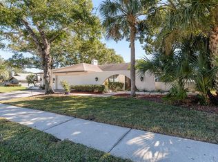 3193 Sandy Ridge Dr, Clearwater, FL 33761