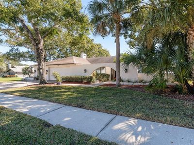 3193 Sandy Ridge Dr, Clearwater, FL, 33761