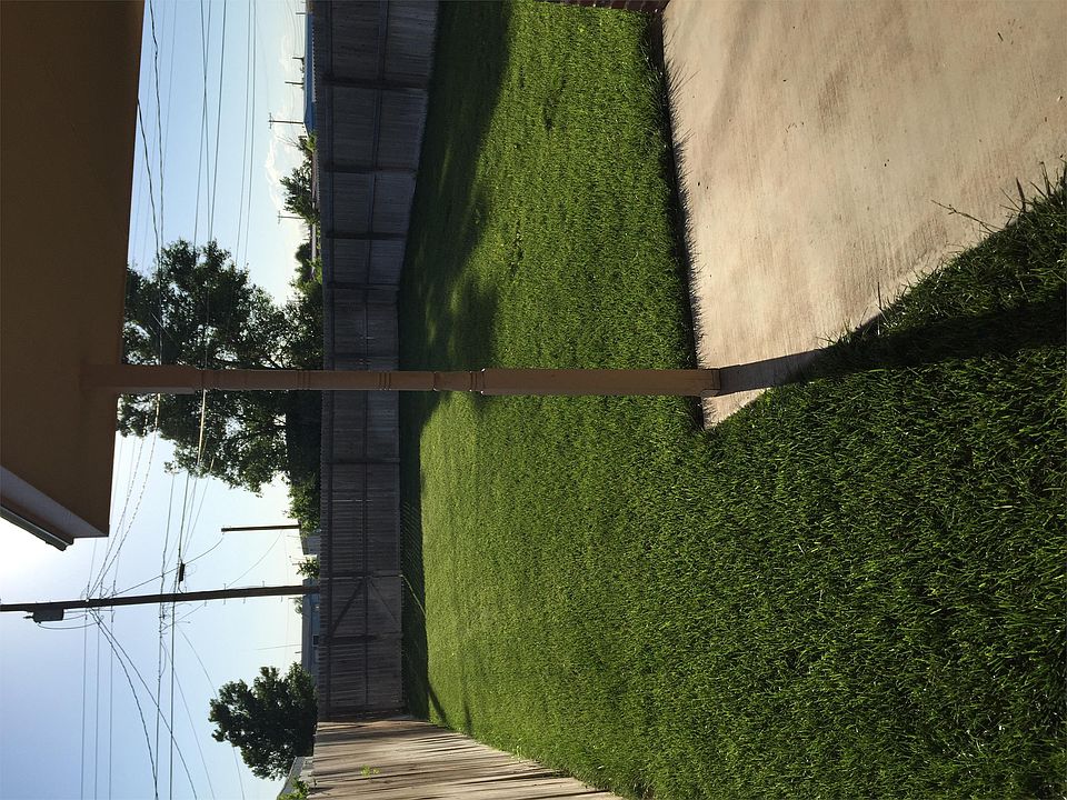 Back yard