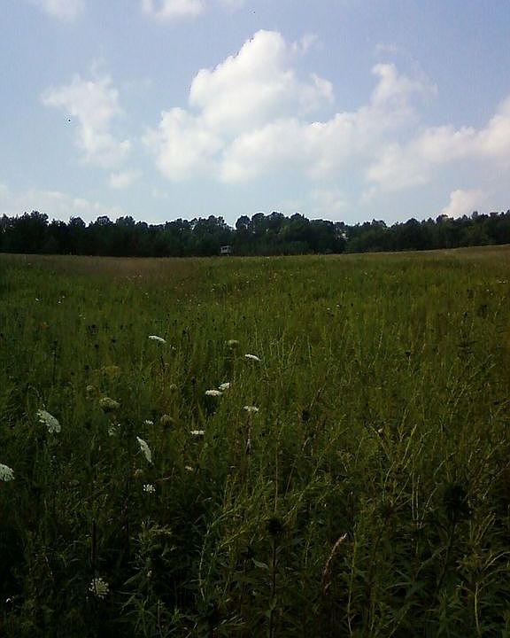 2nd image of 95C Road #Byler
