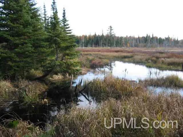 40 Schlatter Ln, Copper Harbor, MI 49918