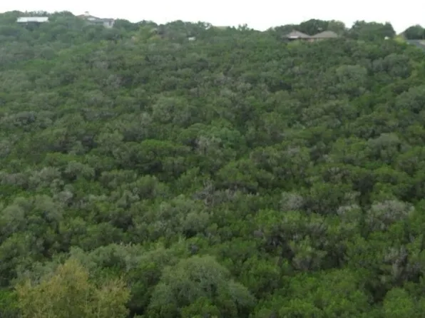 9896 Cash Mountain Rd LOT 36,35, Helotes, TX 78023