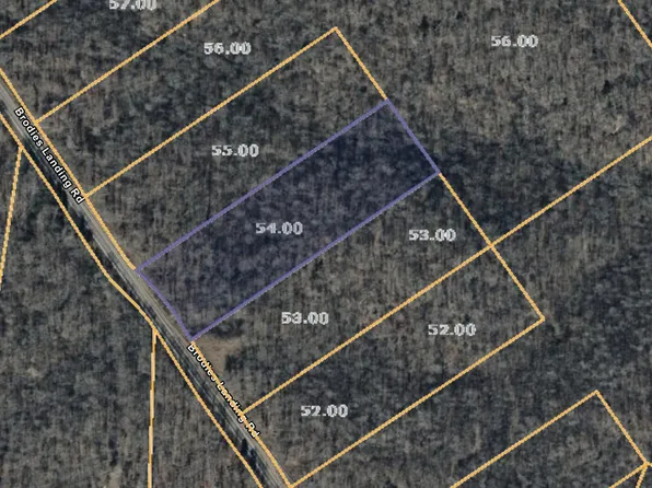 2299 Brodies Landing Rd, Parsons, TN 38363