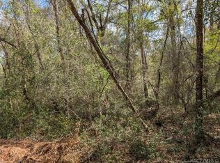 9933 N Joel Point, Citrus Springs, FL 34434