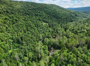 32 Hunter Brook Road, Newfane, VT 05351