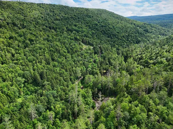 0 Hunter Brook Road, Newfane, VT 05351