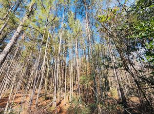 Mallard Trl, Summit, MS 39666