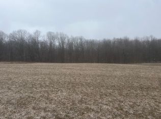133rd Ave PARCEL A, Wayland, MI 49348