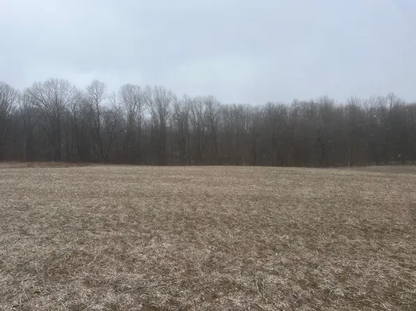 133rd Ave Parcel A, Wayland, MI 49348