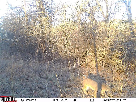 5th image of 0 N 3875th Rd