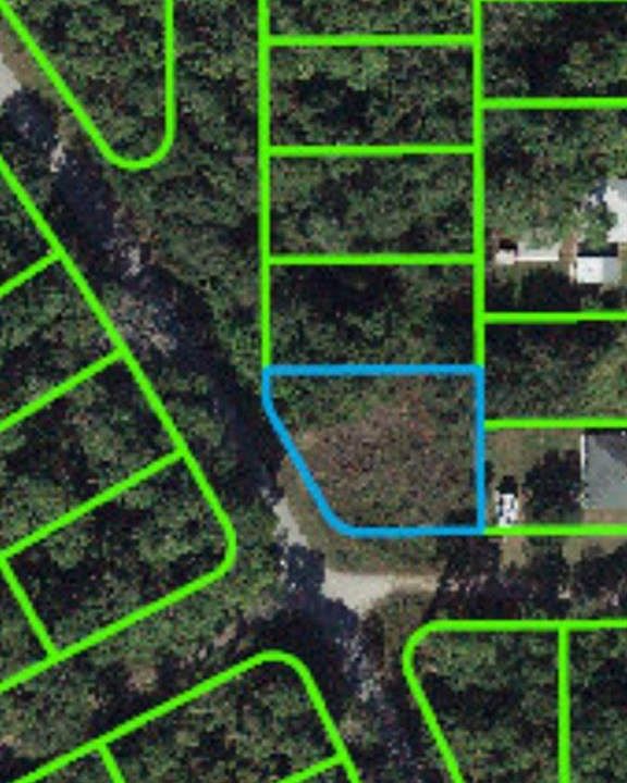 1st image of 427 Bottlebrush Ave