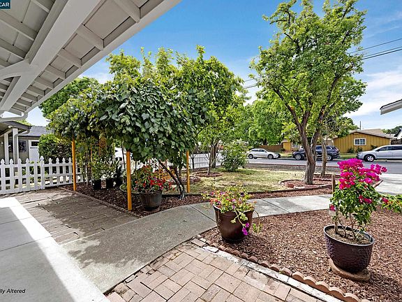 5th image of 1446 Sunshine Dr