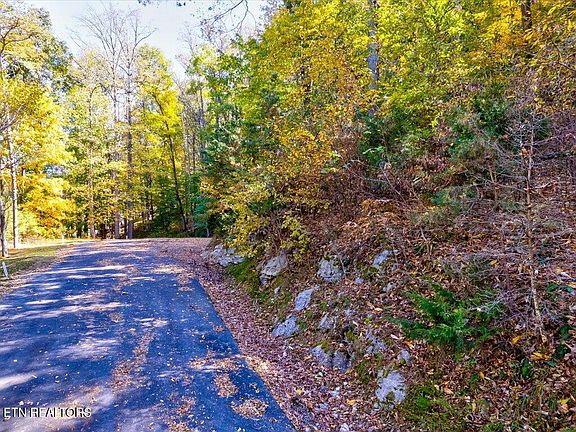 4th image of LOT 37 Five Oaks Cir