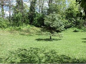 5th image of 1004 Lynn Dr