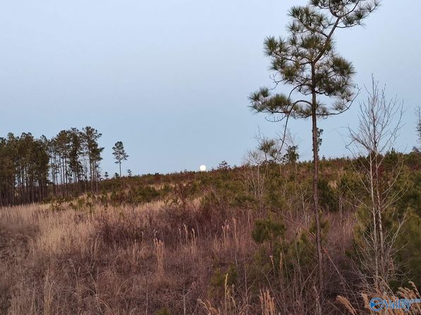 Beaird Rd, Gadsden, AL 35903