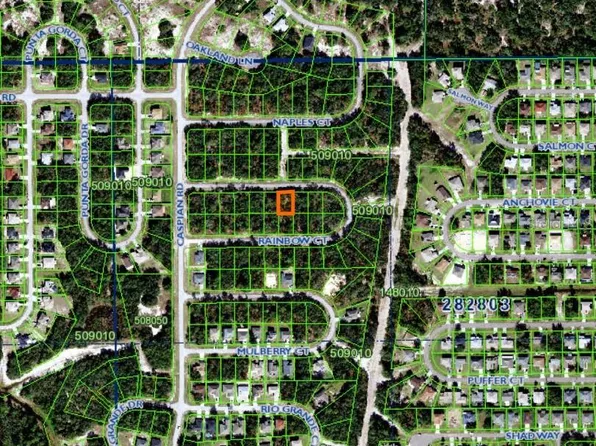 Rainbow Ct #14, Kissimmee, FL 34759