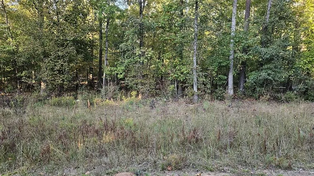 6 Bear Creek Marina Rd #6 photo 1