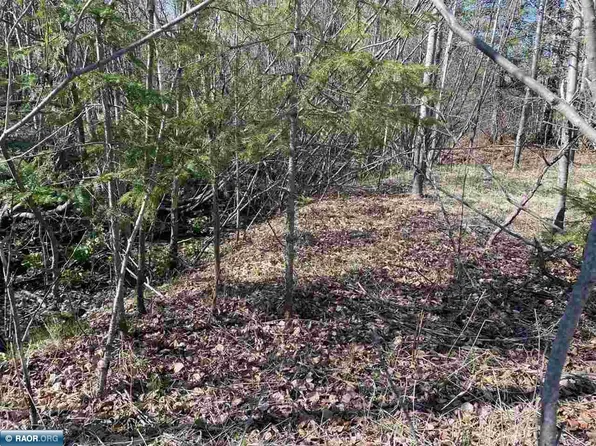 21 Tbd Hwy, Embarrass, MN 55732