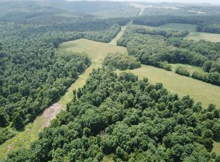 1775 Glade Farms Rd, Bruceton Mills, WV 26525