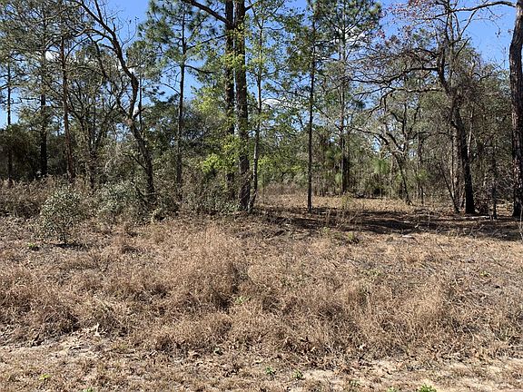 2nd image of 0 SW Hunter Hill Avenue