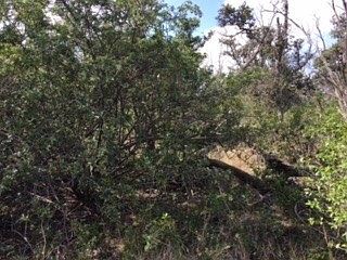 4th image of Lehua Ln Lot 30