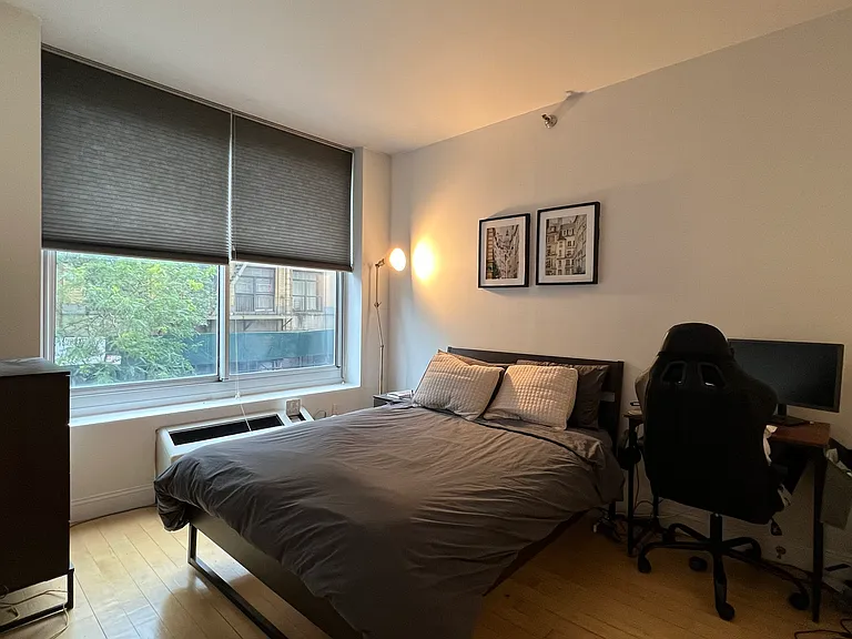 249 E 118th St #2B — Photo 9