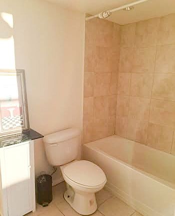 5th image of 701 S Madison Ave APT 511