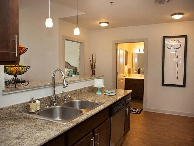 Bienville Basin Apartments — Photo 13
