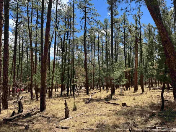 Damascus Rd, Timberon, NM 88350