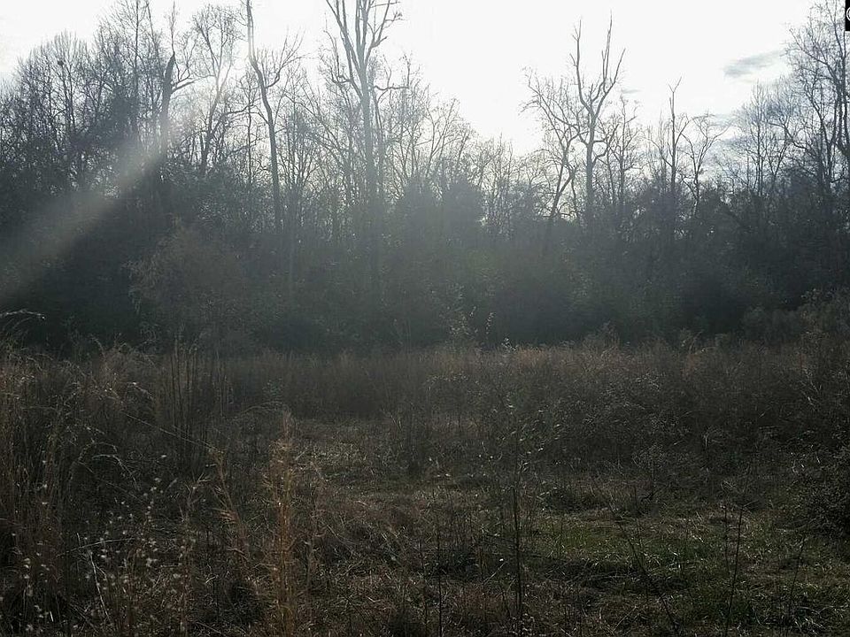 2nd image of 179 Mariners Creek Dr