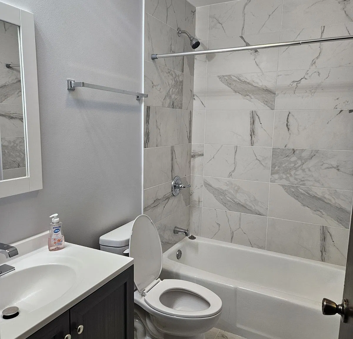1 bed, 800 sqft, $1,500 — Photo 3