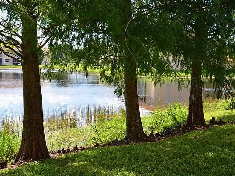 26700 Rosewood Pointe Dr #101 — Photo 20
