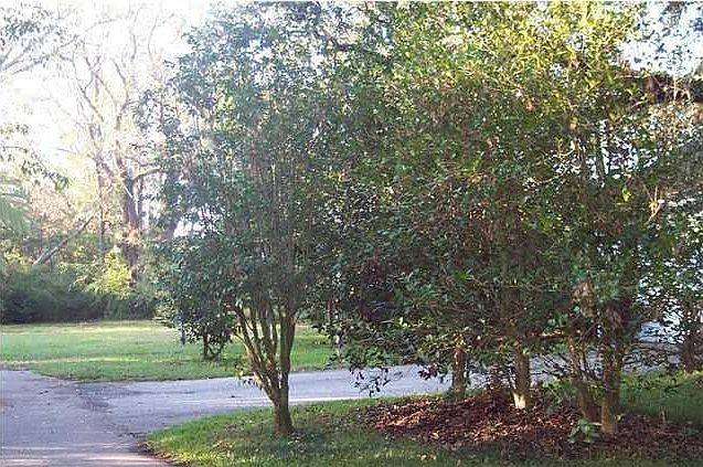 2nd image of 5661 Cottage Hill Rd