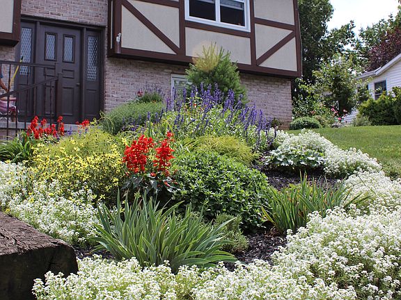 Beautiful Landscaping