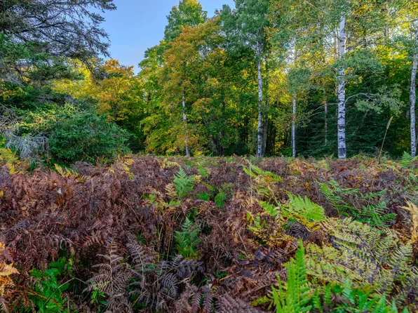 1 E 22 Mile Rd, Pickford, MI 49774