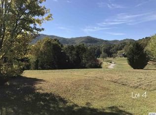 Schisandra Ln, Cosby, TN 37722
