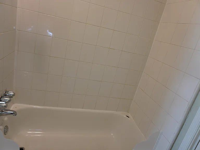 444 W Bringhurst St #3 — Photo 7