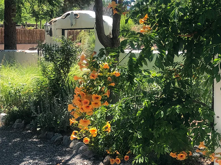 7 Denny Ln #I — Photo 8