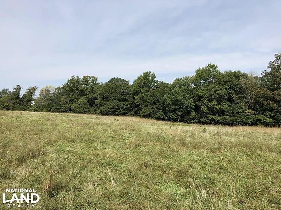 From the main pasture, looking into the southern treeline 
