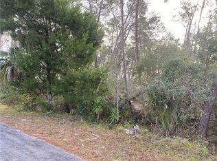 6428 Steuben St, Brooksville, FL 34613