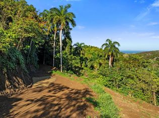 Bo Atalaya Carr 411 Rincon, Rincon, PR 00677