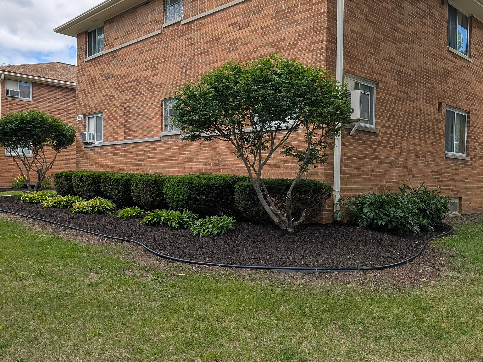 1 bed, 850 sqft, $950 — Photo 3