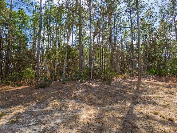 3rd image of 5100 N Red Ribbon Point Lot 11