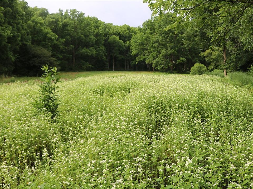 1st image of County Road 59