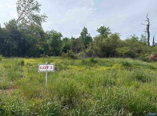 Lots 1 Hwy #40, Henagar, AL 35978
